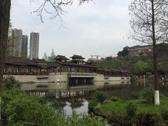 -重庆彩云湖湿地公园