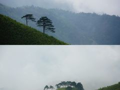 -萍乡武功山风景名胜区