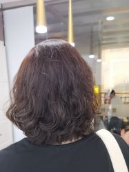 -镁连社·美联社