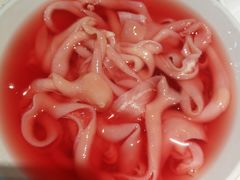 极品鲜鸭肠-龙厂长老火锅(抚琴店)