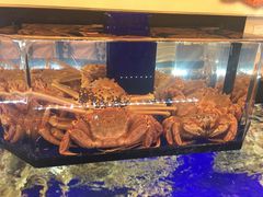 -蟹道乐(道顿堀本店)