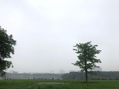 -海珠湖公园