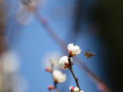 -白塘生态植物园