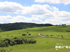 -御道口草原森林风景区