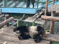 -大连森林动物园