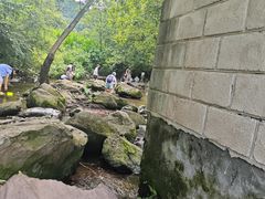 -重庆彩云湖湿地公园