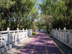 -尚贤河湿地