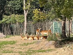 -宁波野生动物园