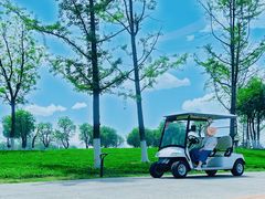 -汉长安城未央宫国家考古遗址公园