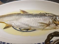 鸡汁白鱼-南京大牌档(中关村领展广场店)