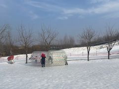 -北京鹿世界主题园