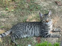 -羊亭河湿地公园