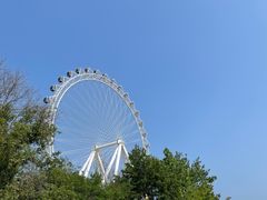 -日照海滨国家森林公园