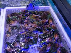 -盒马鲜生(189购物中心店)