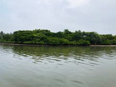 -东寨港红树林旅游区