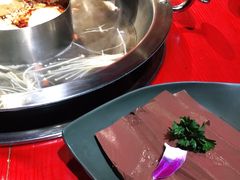 -谭鸭血老火锅(漳州路店)