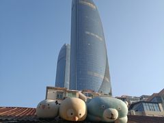 -演武大桥观景平台