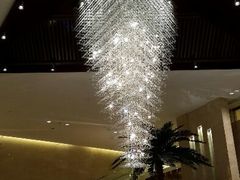 android_upload_pic-常州环球恐龙城维景国际大酒店