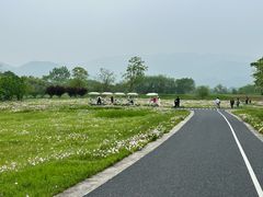 -良渚文化村