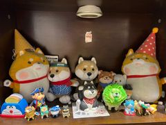 -逗柴咖啡屋·狗咖猫咖宠物桌游