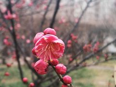 -山东大学(趵突泉校区)