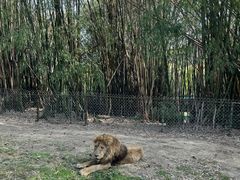 -乐和乐都主题乐园