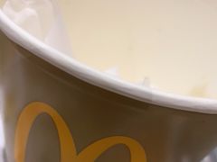 -麦当劳(北京大兴机场二层国内到达(安检外)店)