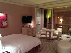 -拉斯维加斯永利酒店