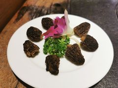 羊肚菌-大匠工房古船木艺术餐厅·猪肚鸡专门店(长白仙岛店)