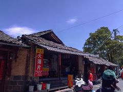 -邓氏大薄片
