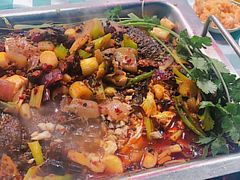 -重庆火锅水库鱼庄(南油店)