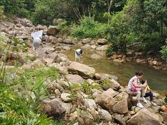 -广州白江湖森林公园