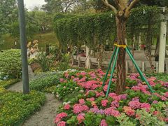 -广州雕塑公园