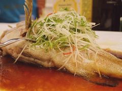 清蒸老虎斑-伯衡55·吉品轩(乌鲁木齐南路店)