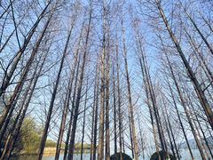 -云龙湖旅游景区