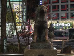 -涩谷全向十字路口