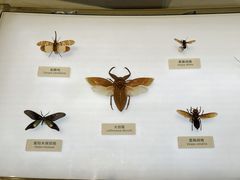-中国湿地博物馆