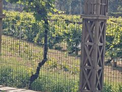 -北京张裕爱斐堡酒庄