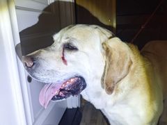 -手帕胡同-地上停车场