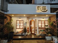 -有猫主题·治愈系猫咖(曾厝垵店)