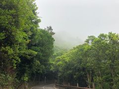 -梧桐山风景名胜区