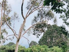 -星湖旅游景区七星岩