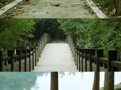 -重庆彩云湖湿地公园