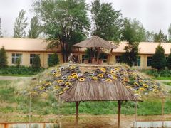 -恩格贝生态旅游区