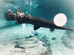 -绍兴梦享海洋公园