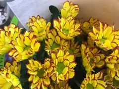 -L.C FLORA花予你(城西银泰城店)