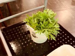 茼蒿菜-云中鱼蒸汽石锅鱼(川沙百联店)