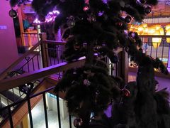 -巢爷老味(东方红店)