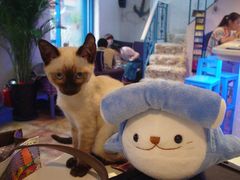 -Sirena海妖日咖夜酒