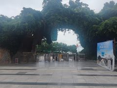 -石老人观光园